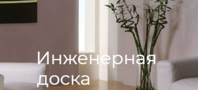 Модные тенденции и стиль