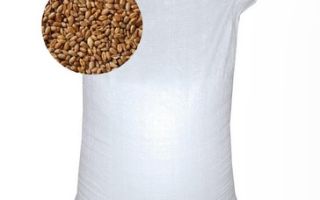 Почему полипропиленовые мешки считаются лучшей тарой для хранения