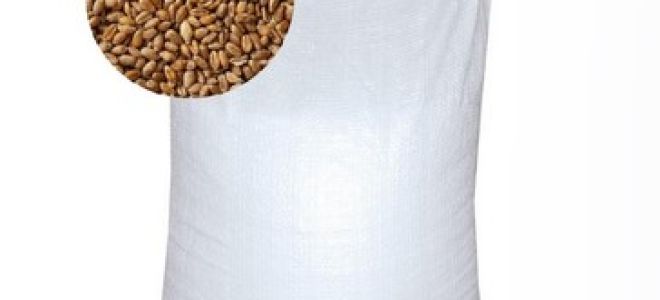 Почему полипропиленовые мешки считаются лучшей тарой для хранения