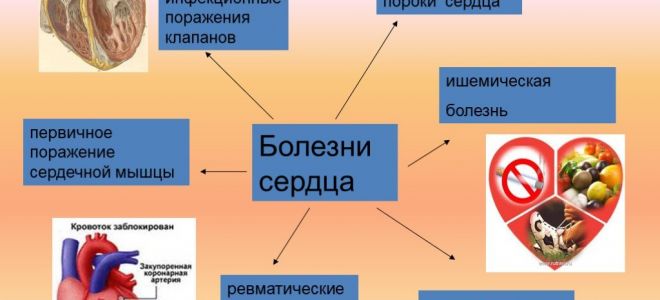 С какими проблемами сердца берут в армию?