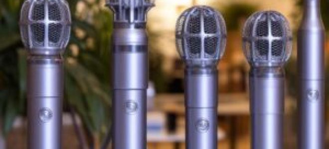 Как бренды создают «клоны» Dyson и что в них реально